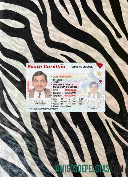 EUA, Carolina do Sul, condução estadual (2020 - presente) fotolook frente amostra